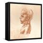 Bust of a Boy, C1472-C1519 (1883)-Leonardo da Vinci-Framed Stretched Canvas