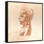 Bust of a Boy, C1472-C1519 (1883)-Leonardo da Vinci-Framed Stretched Canvas