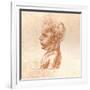 Bust of a Boy, C1472-C1519 (1883)-Leonardo da Vinci-Framed Giclee Print