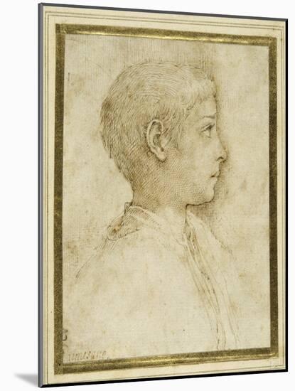 Bust of a Boy in Profile to the Right-Parmigianino-Mounted Giclee Print