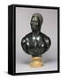 Bust of a Man (Black Limestone and Yellow Marble) (See also 281573)-Francis Harwood-Framed Stretched Canvas