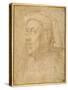 Bust of a Man Wearing a Chaperon-Lorenzo di Credi-Stretched Canvas