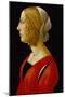 Bust of a Young Woman, C.1485-90 (Tempera on Panel)-Raffaellino Del Garbo-Mounted Giclee Print