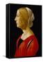 Bust of a Young Woman, C.1485-90 (Tempera on Panel)-Raffaellino Del Garbo-Framed Stretched Canvas