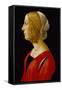 Bust of a Young Woman, C.1485-90 (Tempera on Panel)-Raffaellino Del Garbo-Framed Stretched Canvas