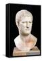 Bust of Agrippa-null-Framed Stretched Canvas