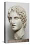 Bust of Alexander the Great-null-Stretched Canvas