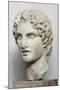 Bust of Alexander the Great-null-Mounted Giclee Print