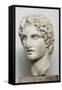 Bust of Alexander the Great-null-Framed Stretched Canvas