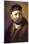 Bust of an Old Man with a Cap-Rembrandt van Rijn-Mounted Art Print