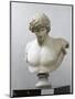 Bust of Antinous, Antinous Said Ecouen (117-138 Ad)-null-Mounted Giclee Print