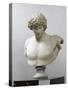 Bust of Antinous, Antinous Said Ecouen (117-138 Ad)-null-Stretched Canvas