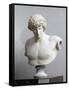 Bust of Antinous, Antinous Said Ecouen (117-138 Ad)-null-Framed Stretched Canvas