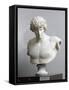 Bust of Antinous, Antinous Said Ecouen (117-138 Ad)-null-Framed Stretched Canvas