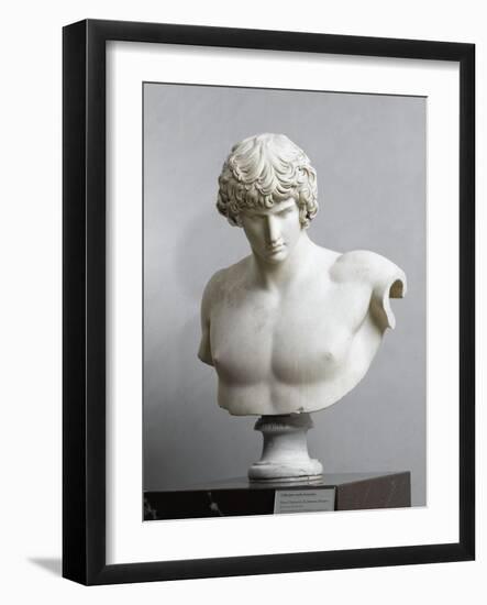 Bust of Antinous, Antinous Said Ecouen (117-138 Ad)-null-Framed Giclee Print