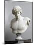 Bust of Antinous, Antinous Said Ecouen (117-138 Ad)-null-Mounted Giclee Print