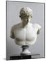 Bust of Antinous, Antinous Said Ecouen (117-138 Ad)-null-Mounted Giclee Print