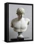 Bust of Antinous, Antinous Said Ecouen (117-138 Ad)-null-Framed Stretched Canvas