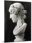Bust of Antinous-Roman-Mounted Giclee Print