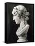 Bust of Antinous-Roman-Framed Stretched Canvas