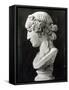 Bust of Antinous-Roman-Framed Stretched Canvas