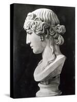 Bust of Antinous-Roman-Stretched Canvas