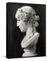 Bust of Antinous-Roman-Framed Stretched Canvas