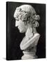 Bust of Antinous-Roman-Stretched Canvas