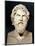 Bust of Antisthenes (circa 440-circa 371 BC)-null-Mounted Giclee Print