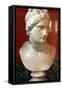 Bust of Aphrodite, Goddess of Beauty and Love-null-Framed Stretched Canvas