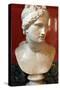 Bust of Aphrodite, Goddess of Beauty and Love-null-Stretched Canvas