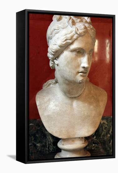 Bust of Aphrodite, Goddess of Beauty and Love-null-Framed Stretched Canvas