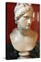 Bust of Aphrodite, Goddess of Beauty and Love-null-Stretched Canvas