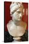 Bust of Aphrodite, Goddess of Beauty and Love-null-Stretched Canvas