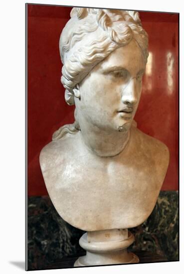 Bust of Aphrodite, Goddess of Beauty and Love-null-Mounted Photographic Print