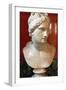 Bust of Aphrodite, Goddess of Beauty and Love-null-Framed Photographic Print