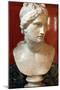 Bust of Aphrodite, Goddess of Beauty and Love-null-Mounted Photographic Print