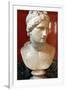 Bust of Aphrodite, Goddess of Beauty and Love-null-Framed Photographic Print