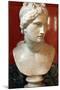 Bust of Aphrodite, Goddess of Beauty and Love-null-Mounted Photographic Print