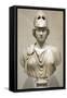 Bust of Athena, 2nd Century-null-Framed Stretched Canvas