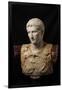 Bust of Augustus (after Augustus of Prima Porta)-null-Framed Art Print