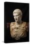 Bust of Augustus (after Augustus of Prima Porta)-null-Stretched Canvas