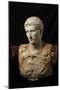 Bust of Augustus (after Augustus of Prima Porta)-null-Mounted Art Print
