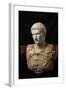 Bust of Augustus (after Augustus of Prima Porta)-null-Framed Art Print