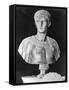 Bust of Caligula in Military Attire-null-Framed Stretched Canvas