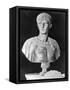 Bust of Caligula in Military Attire-null-Framed Stretched Canvas