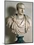 Bust of Cicero, Roman, 1st Century BC-null-Mounted Giclee Print