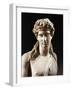 Bust of Dionysus, Copy from Greek Original by Praxiteles-null-Framed Giclee Print