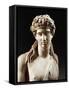 Bust of Dionysus, Copy from Greek Original by Praxiteles-null-Framed Stretched Canvas