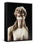 Bust of Dionysus, Copy from Greek Original by Praxiteles-null-Framed Stretched Canvas